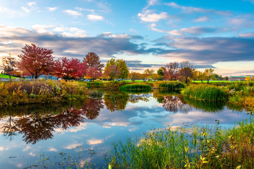 Waters at Prairie Lakes Park
