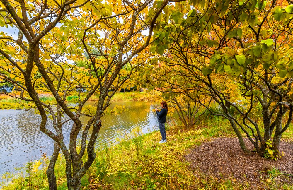 A person at Prairie Lakes Park