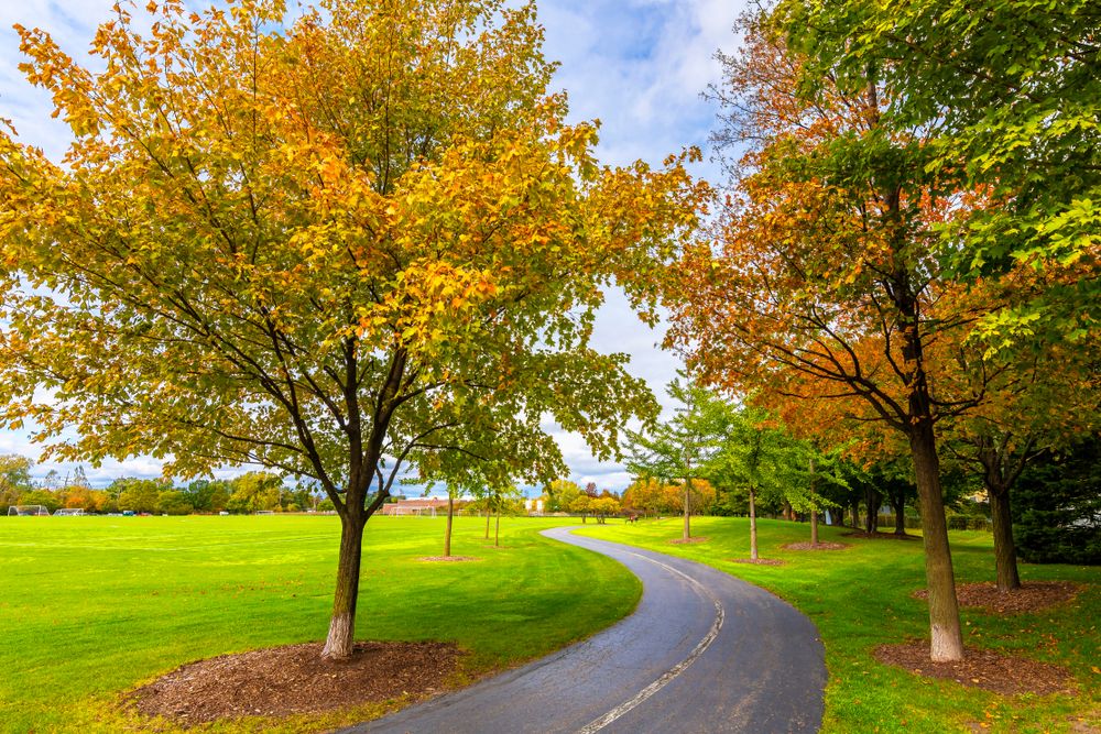 A trail at Prairie Lakes Park