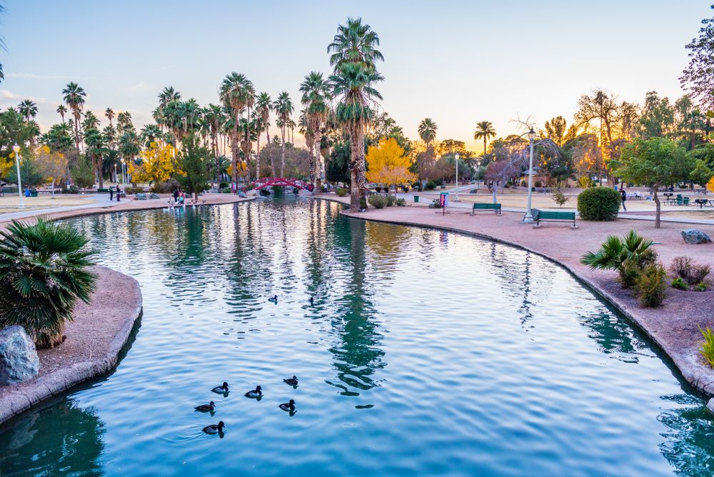 Ducks on the canal of Encanto Park