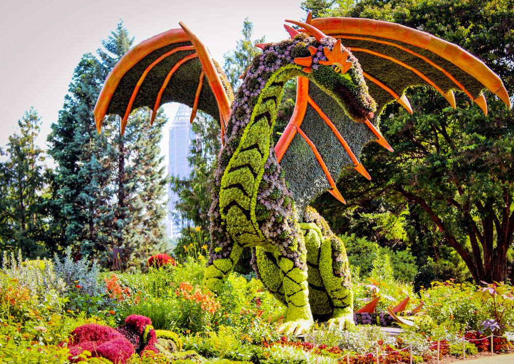 A dragon shaped statue made up of colorful flowers and green leaves.