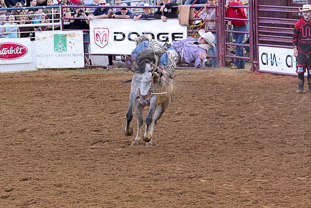 A competitor at the North Texas Fair and Rodeo