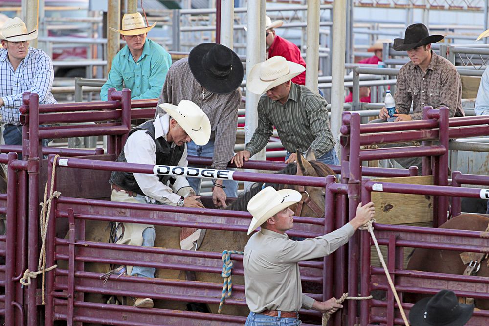 People preparing for the North Texas Fair and Rodeo
