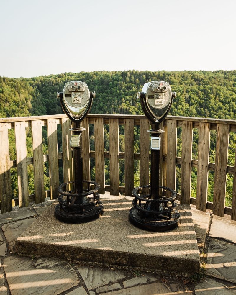 Coin-operated binoculars at Blackwater Falls State Park