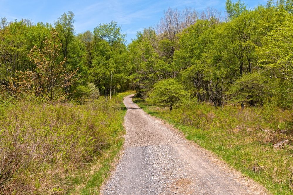 Dirt road at Canaan Valley National Wildlife Refuge