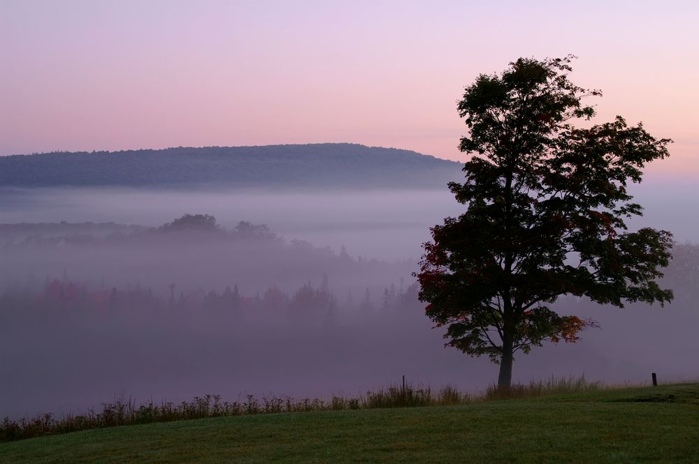 Scenic view from Canaan Valley Resort State Park
