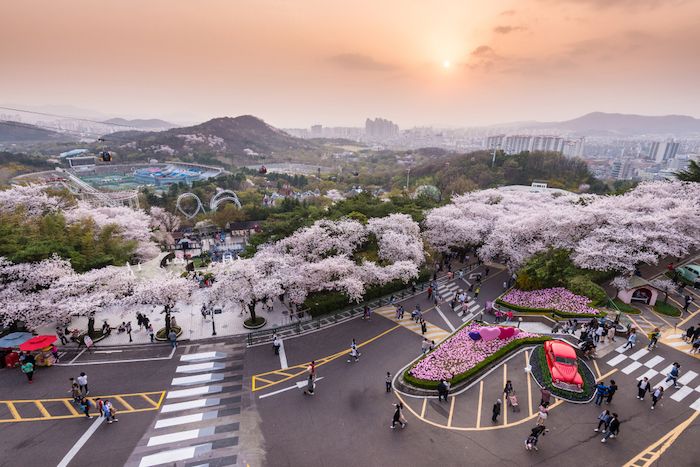 E-World Daegu