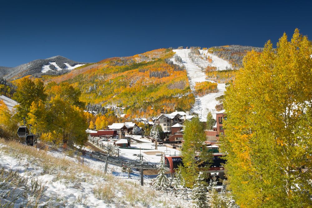 Colorful trees surrounding Beaver Creek Ski Resort