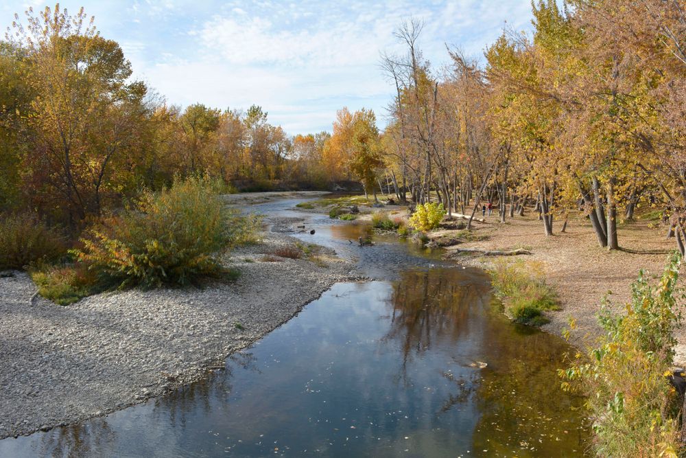 Sunny day at Boise River Greenbelt