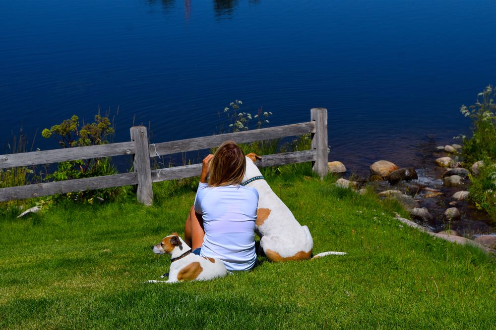 A woman with her dogs at Edwards Freedom Park