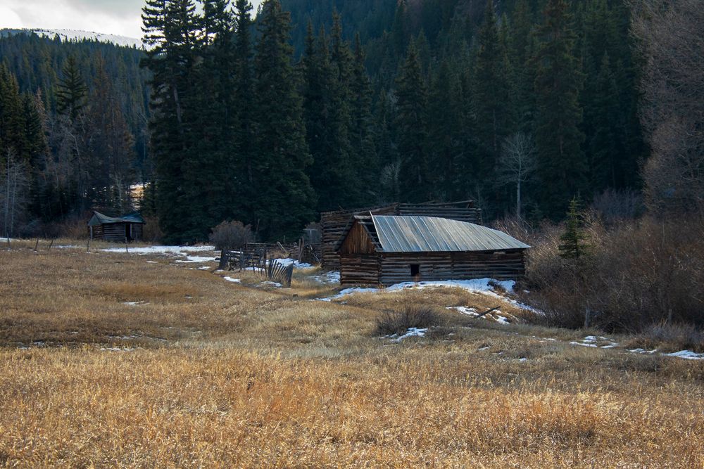 A cabin in the woods of Sylvan Lake State Park