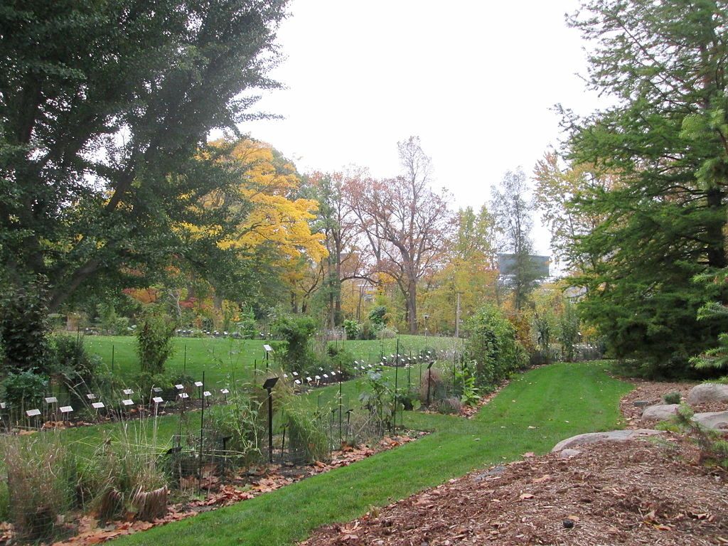 Landscape at WJ Beal Botanical Garden.