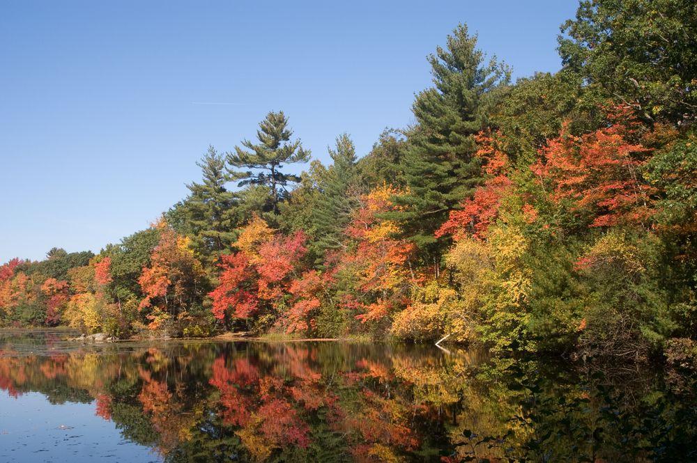 The waters of Harold Parker State Forest