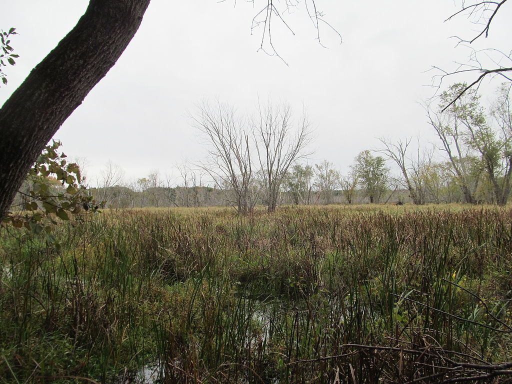 Daytime view of Mass Audubon Ipswich River Wildlife Sanctuary