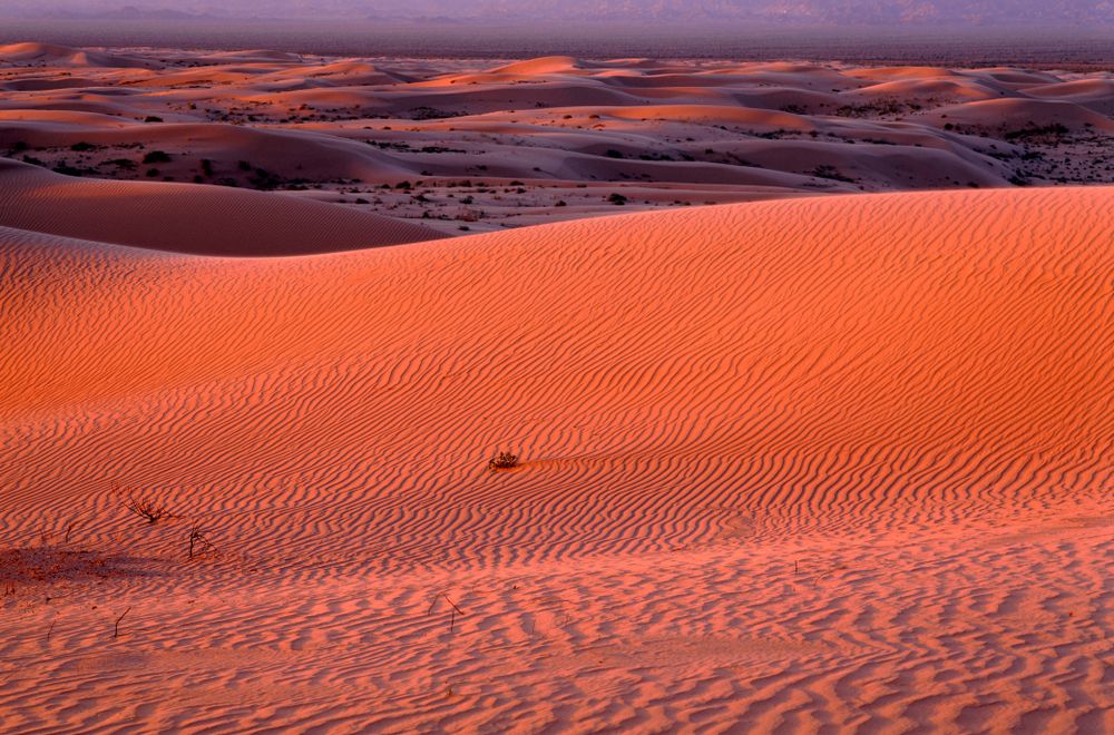 Sunset over North Algodones Dunes Wilderness