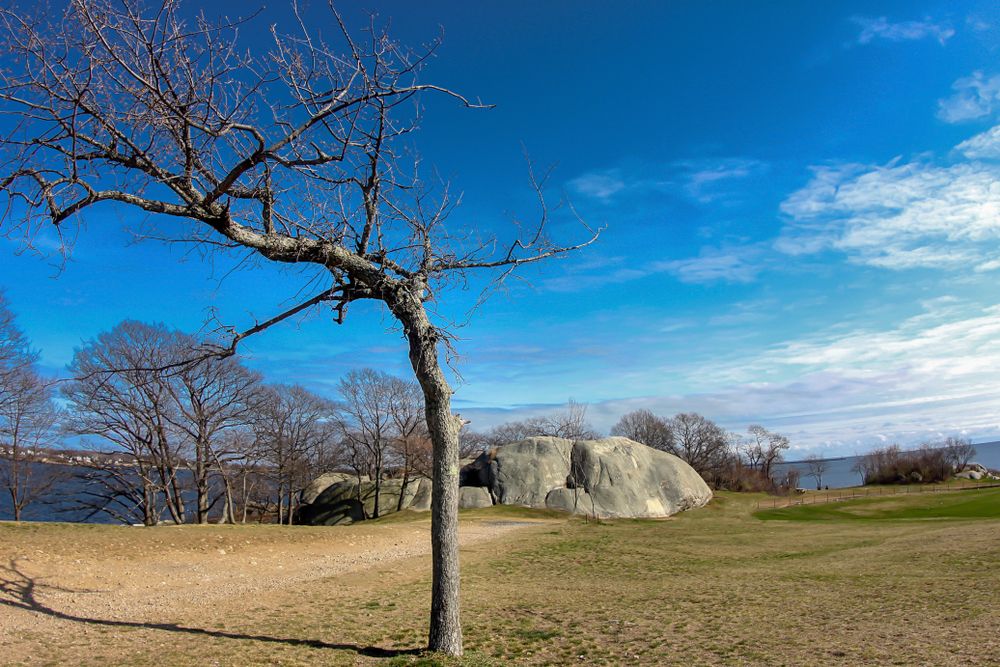 The grounds of Stage Fort Park