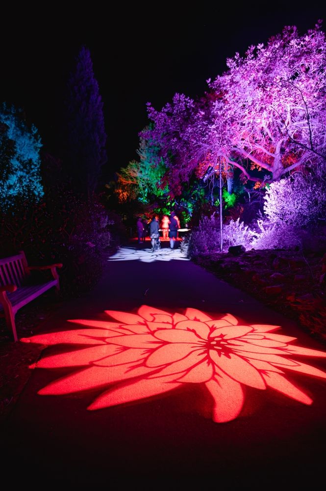 Night scene at San Diego Botanic Garden