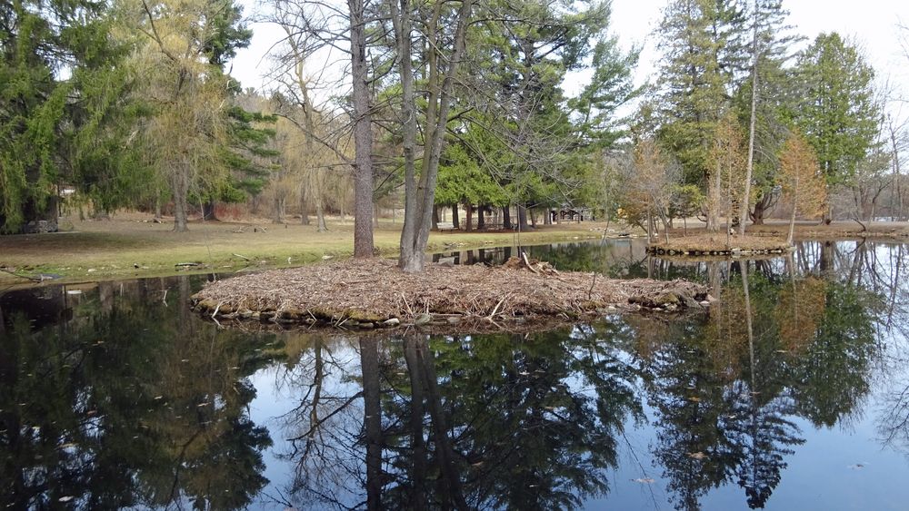 The waters of Rod and Gun Park