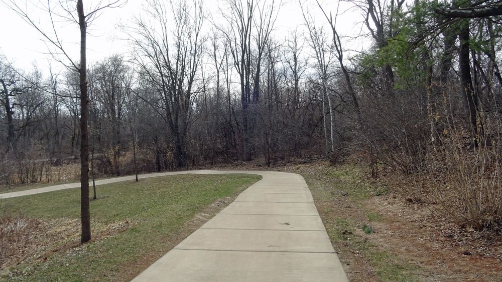 A trail at Rod and Gun Park