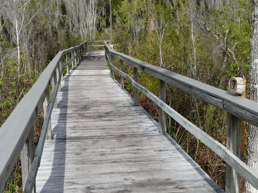 A boardwalk at Trout Lake Nature Center
