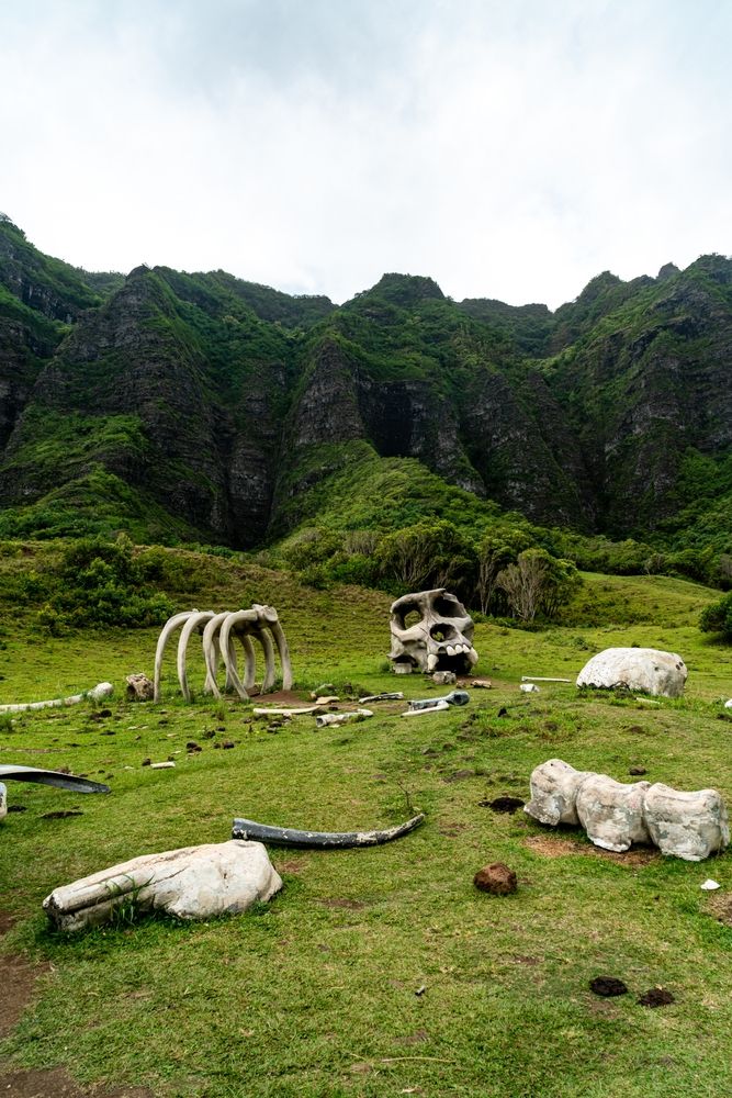 Fossils at Kualoa Ranch
