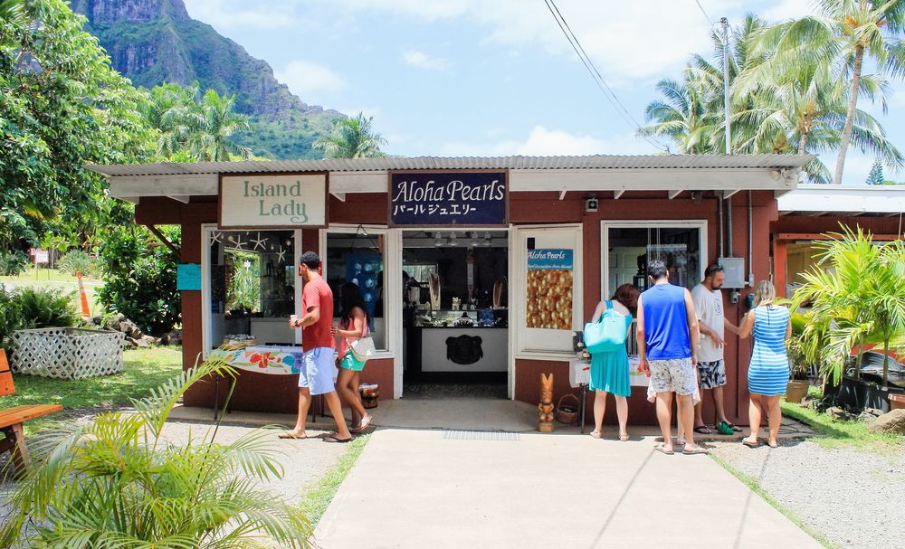 People at Tropical Farms