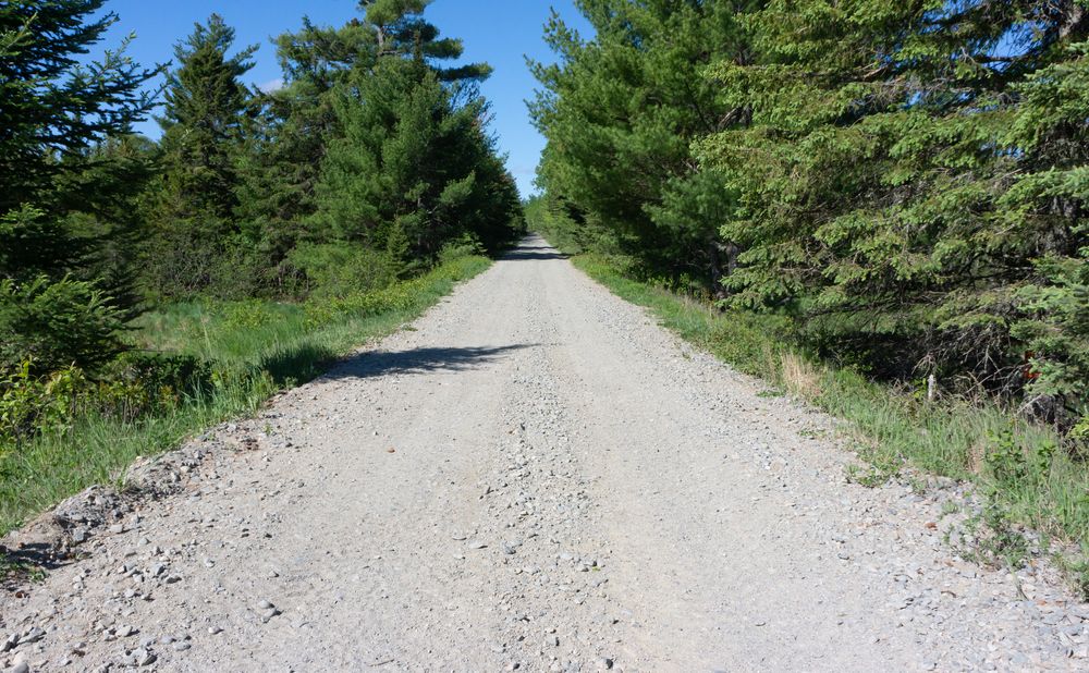 Sand road of the down east sunrise trail.