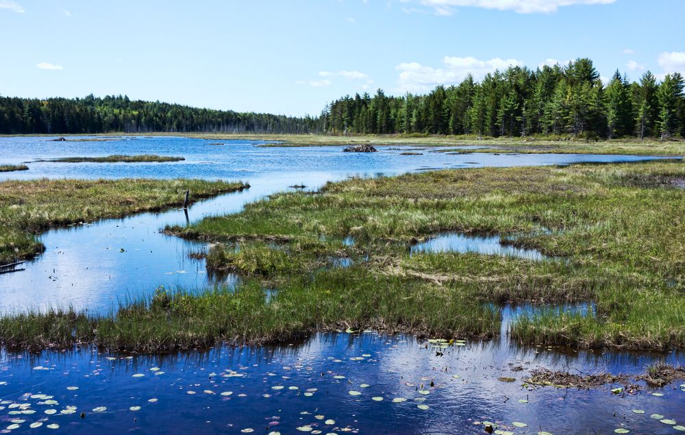 A body of water at the down east sunrise trail.