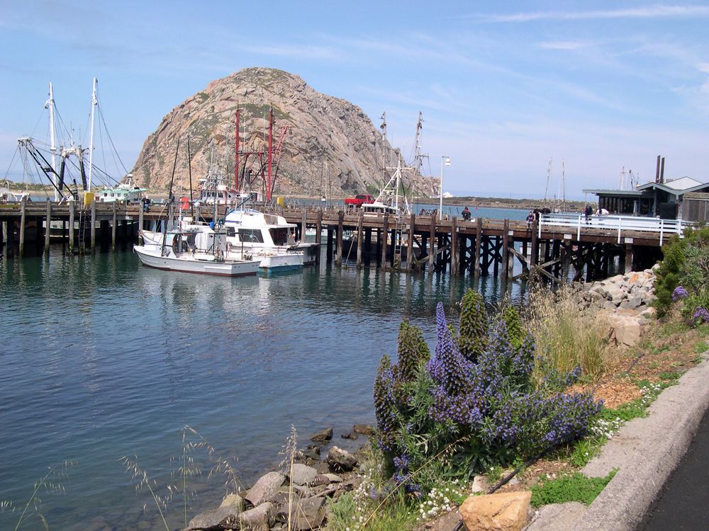The Embarcadero at Morro Bay
