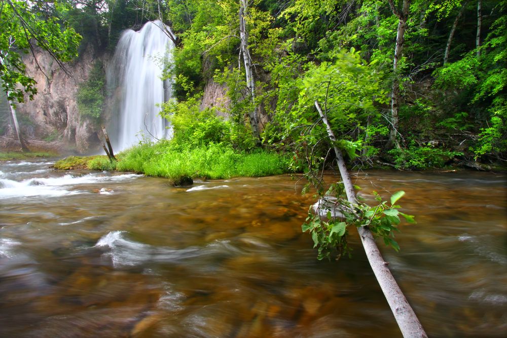 View of the Falls in Black Hills National Forest