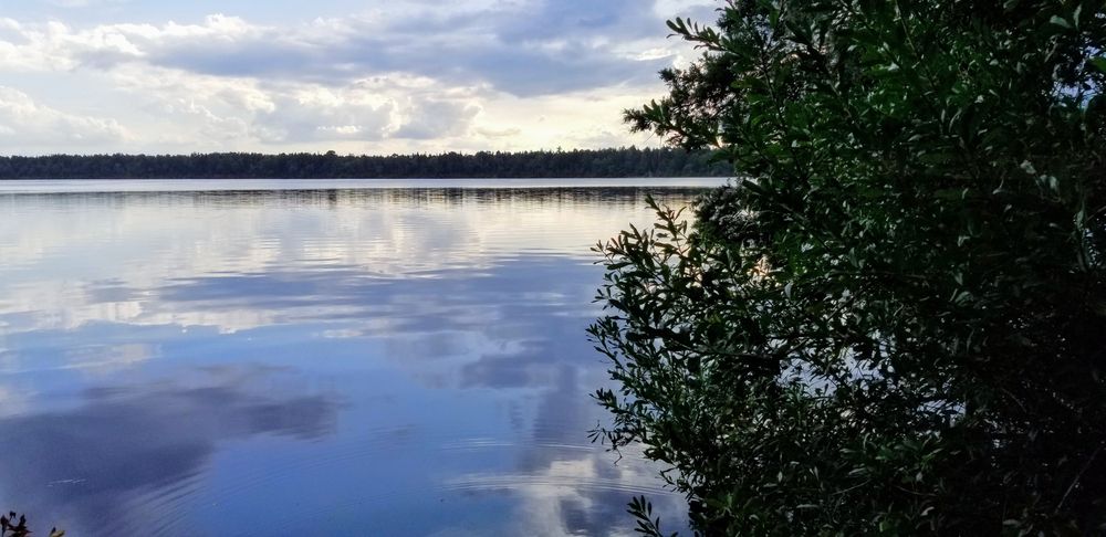The waters of Jones Lake State Park
