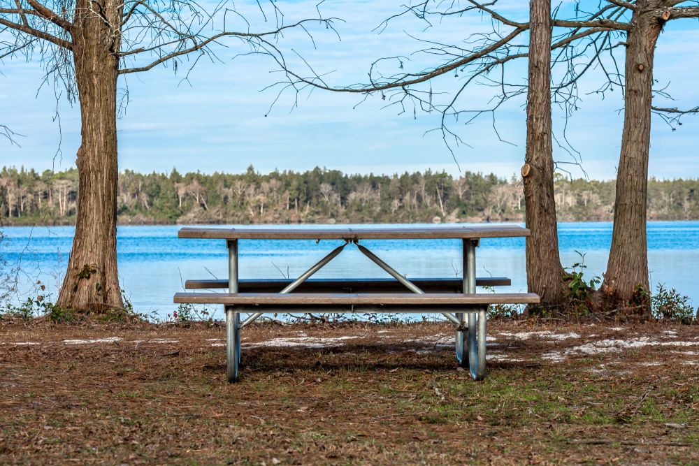 Picnic table overlooking the waters of Jones Lake State Park