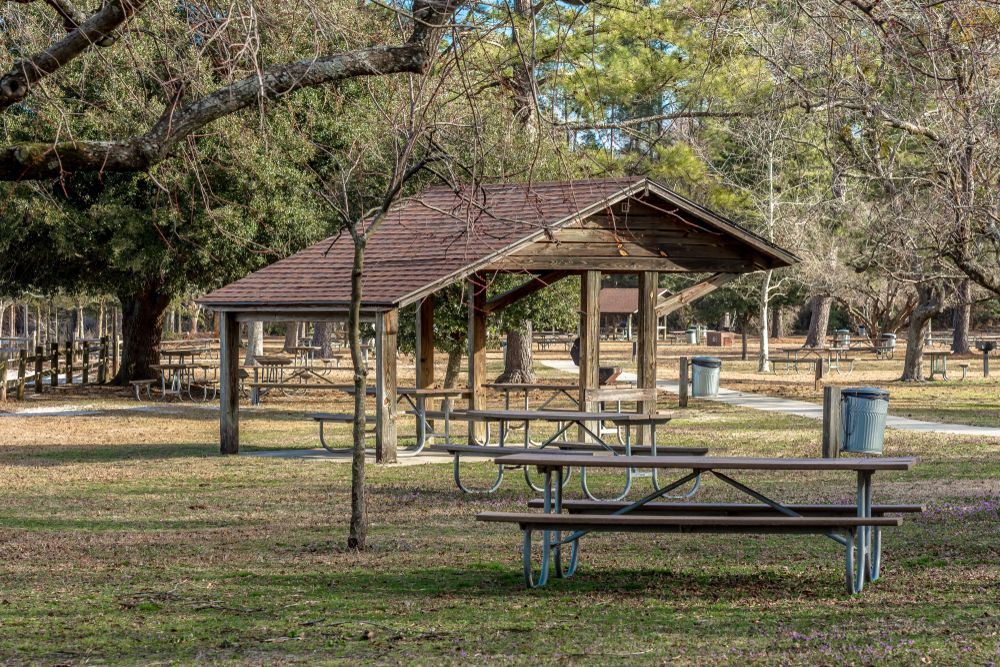 Picnic grounds at Jones Lake State Park