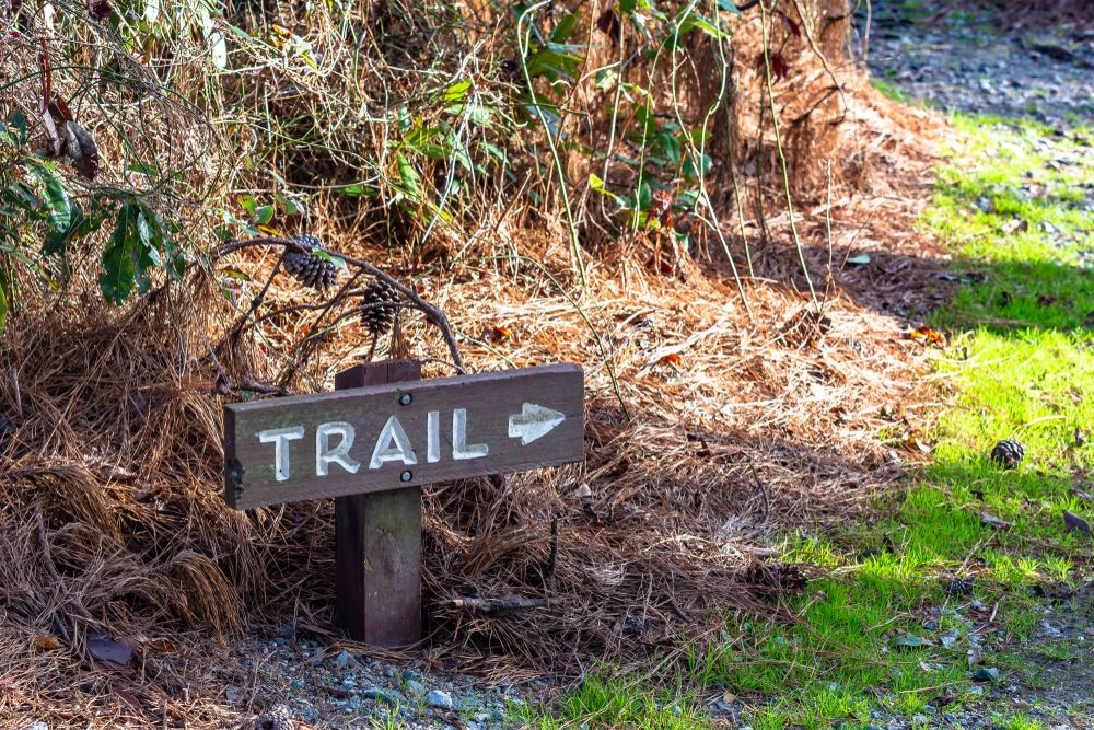 Trail sign at Singletary Lake State Park