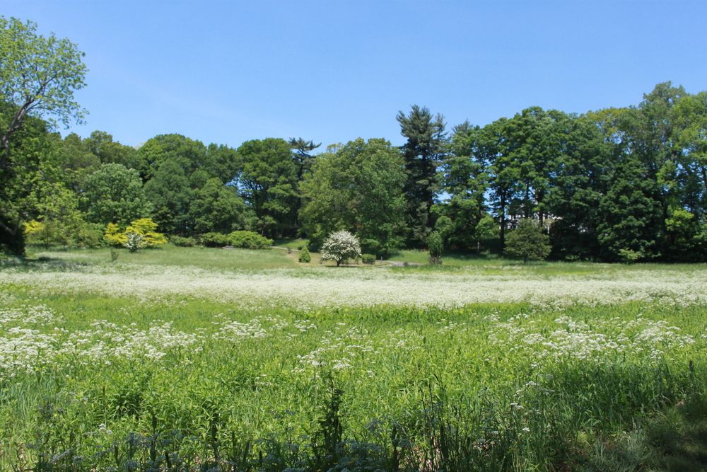 Daytime view of The Frelinghuysen Arboretum