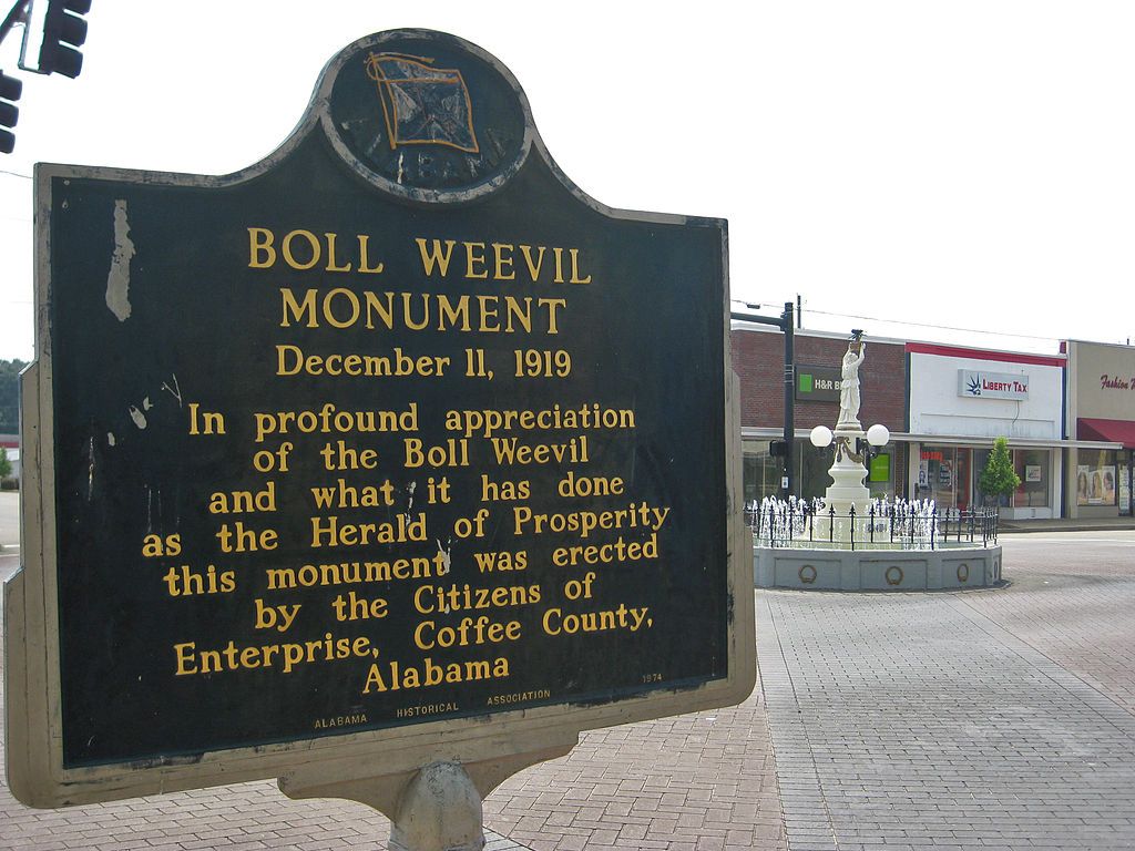 History marker of the Boll Weevil Monument