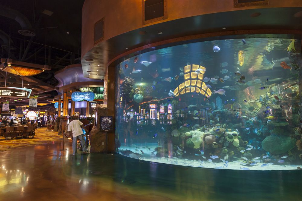 View of the Silverton Aquarium