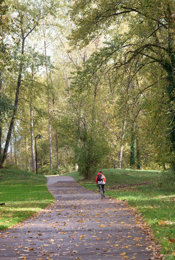 A lone cyclist at Alton Baker Park
