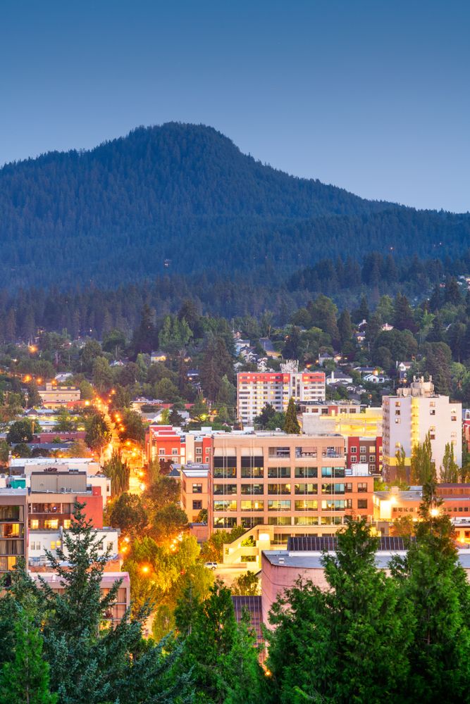 Skyline views from Skinner Butte Park