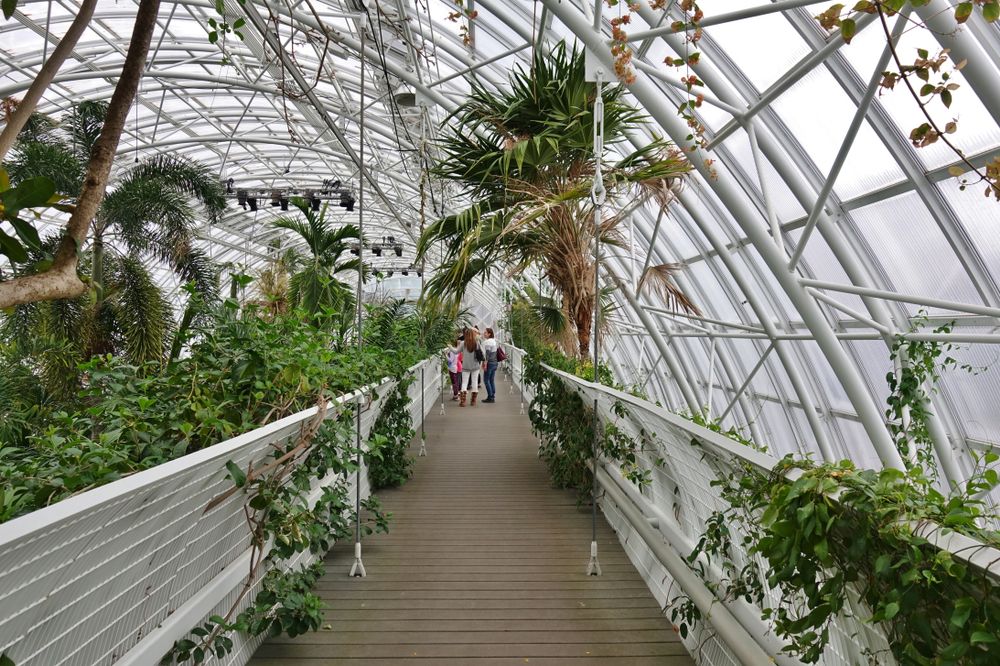Interior of Myriad Botanical Gardens conservatory