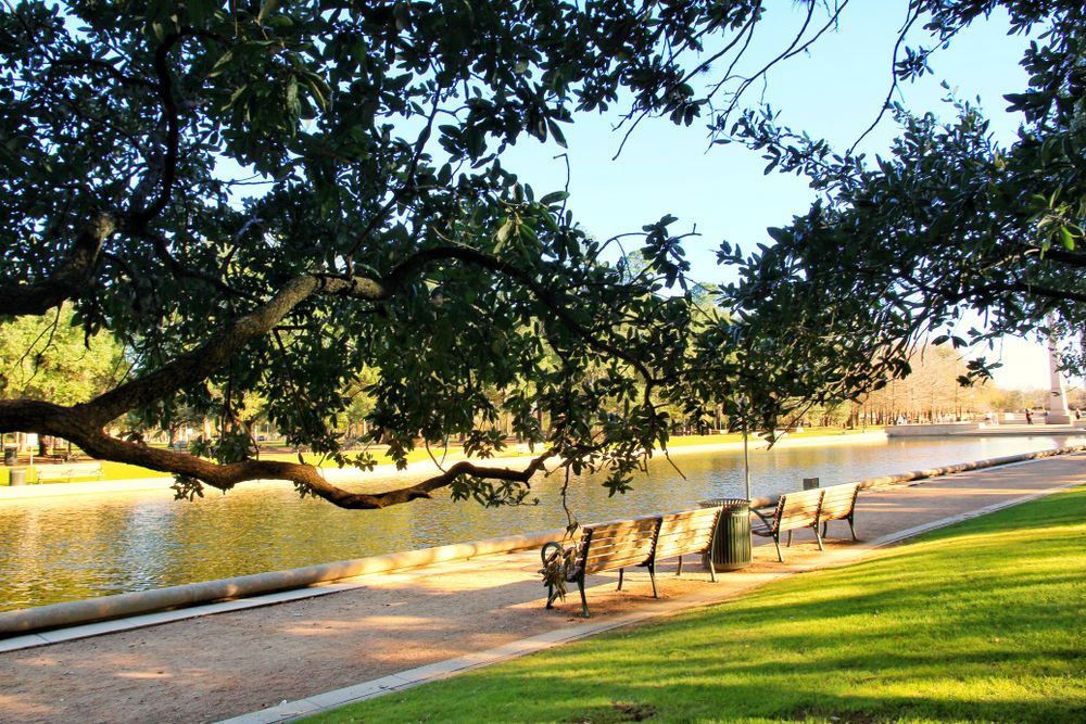 Benches facing the McGovern lake at Hermann Park