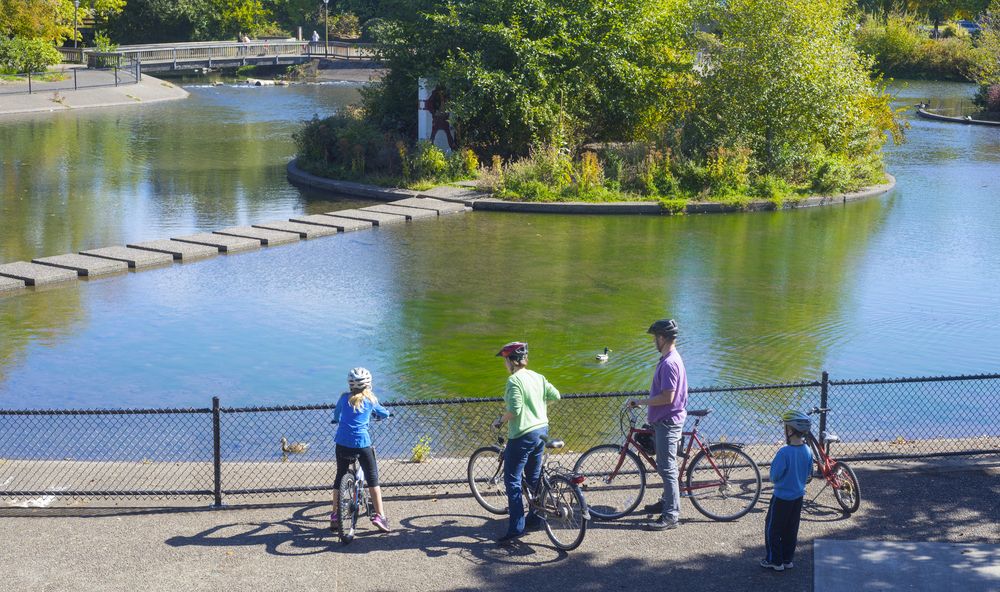 Family observing the ducks at Alton Baker Park