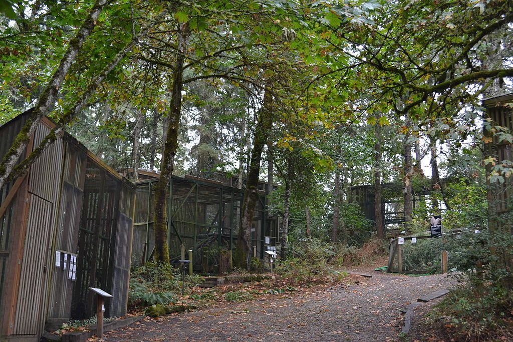 Bird houses at Cascades Raptor Center