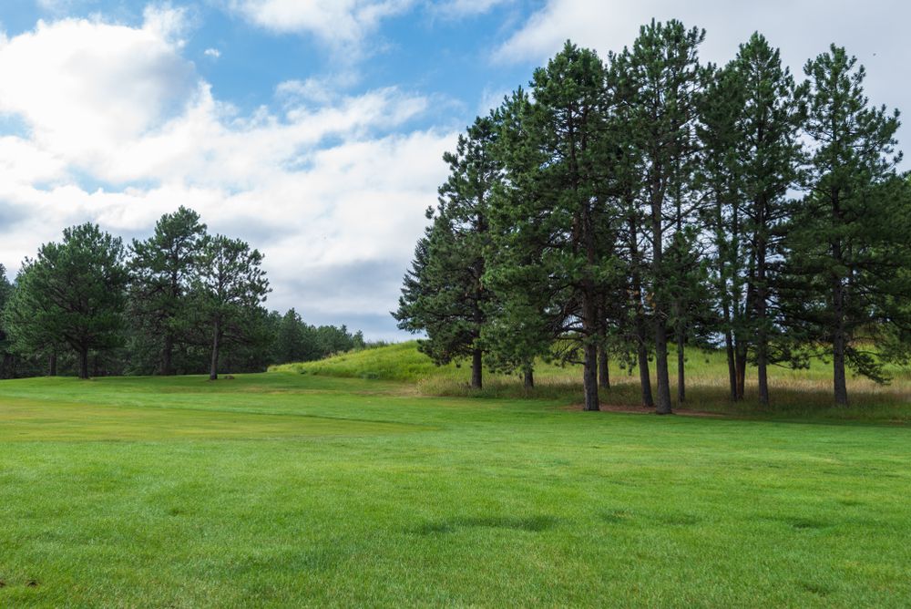 Landscape of Dedisse Park