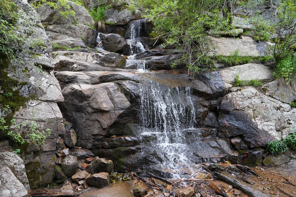 Maxwell Falls at evergreen