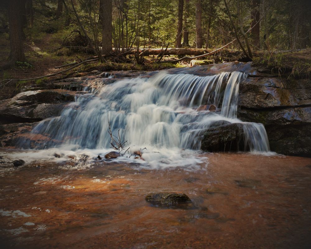 A short waterfall along Maxwell Falls' hiking trail