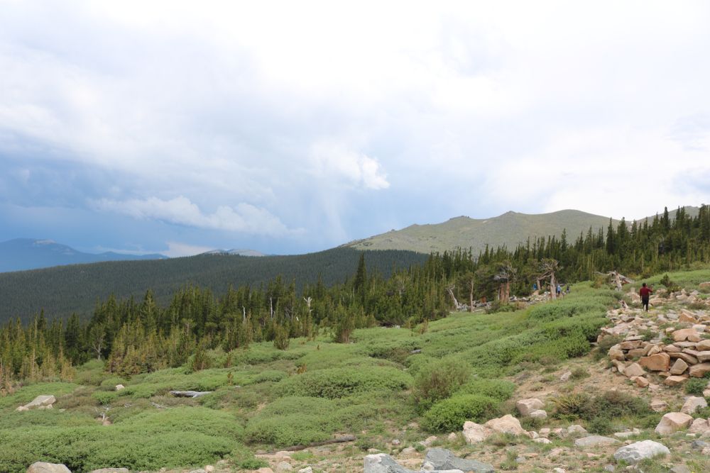 Scenic view of Mount Goliath Natural Area
