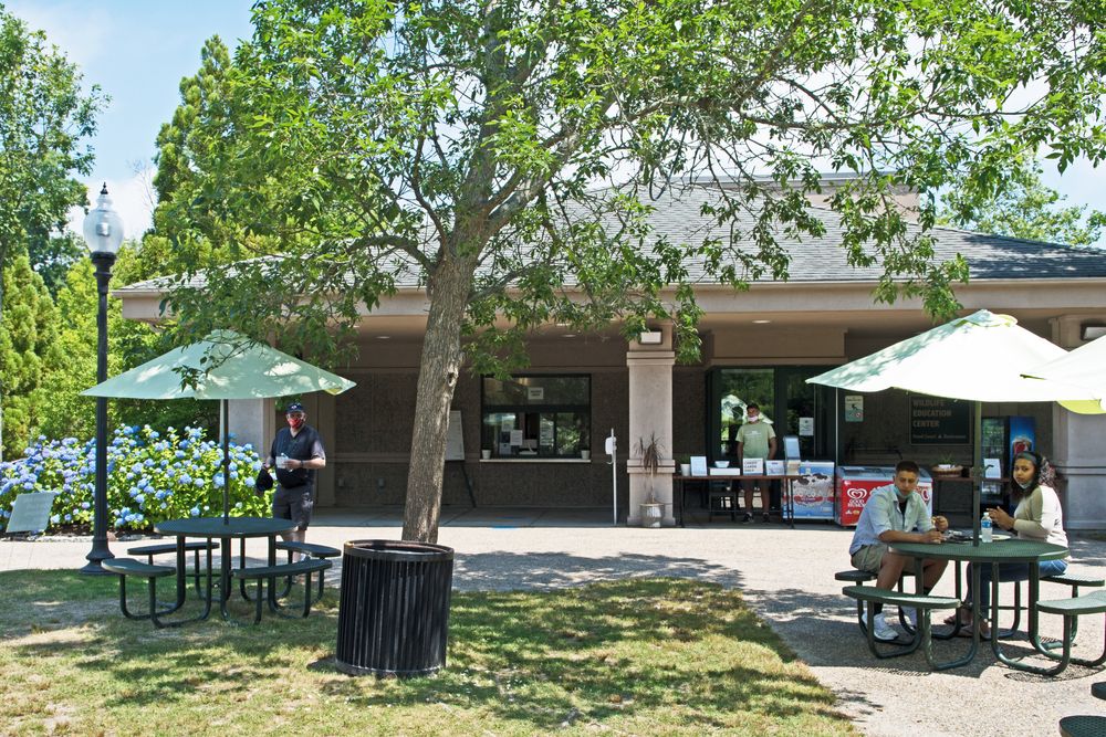 Inside View of Buttonwood Park Zoo