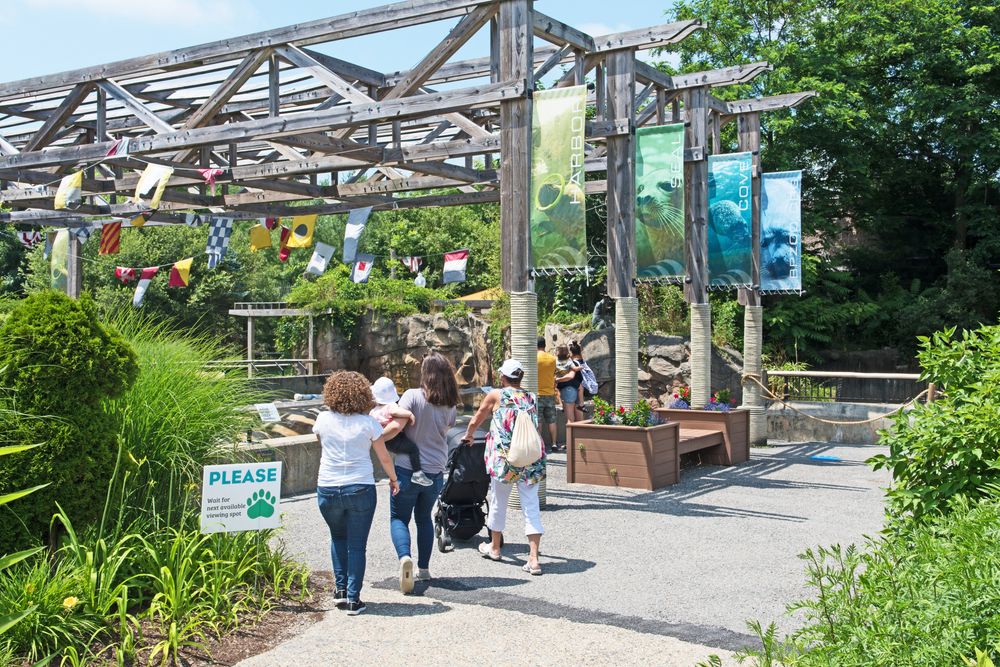 People at Buttonwood Park Zoo