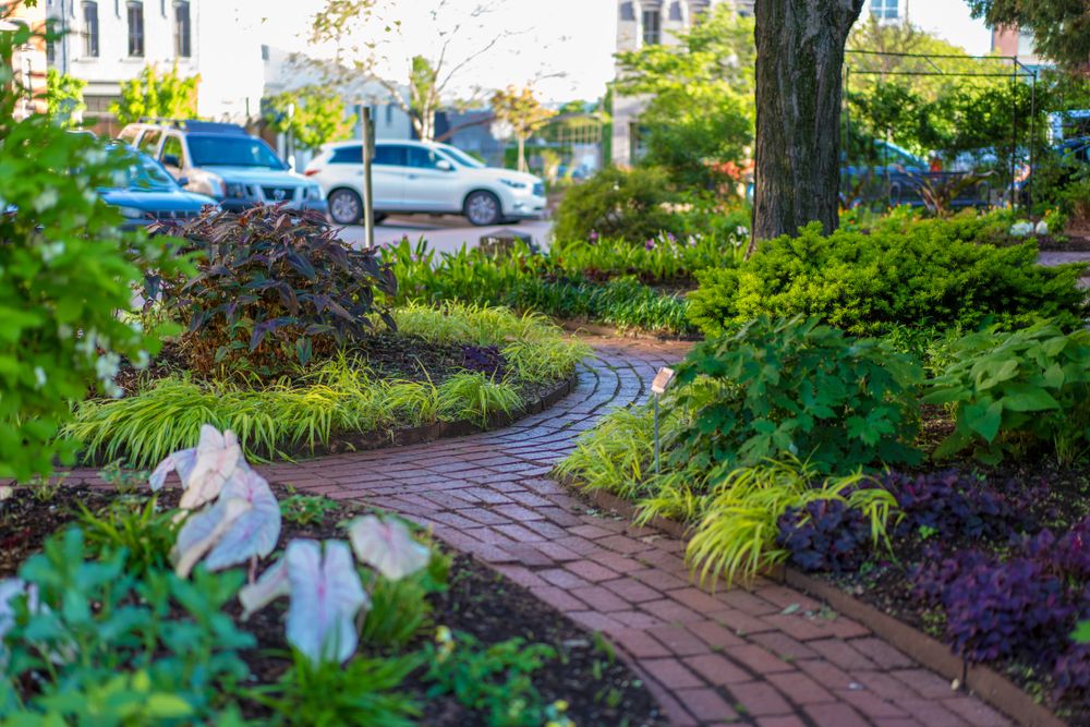 Trail lined with plants at Fayetteville Downtown Square garden